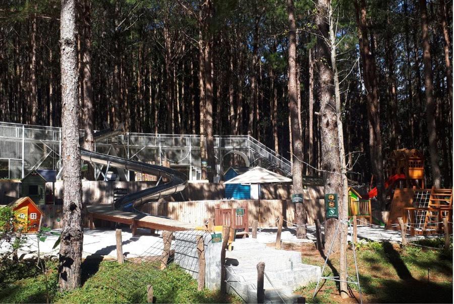 Mo Stay - Forest Resort Dalat Exterior foto