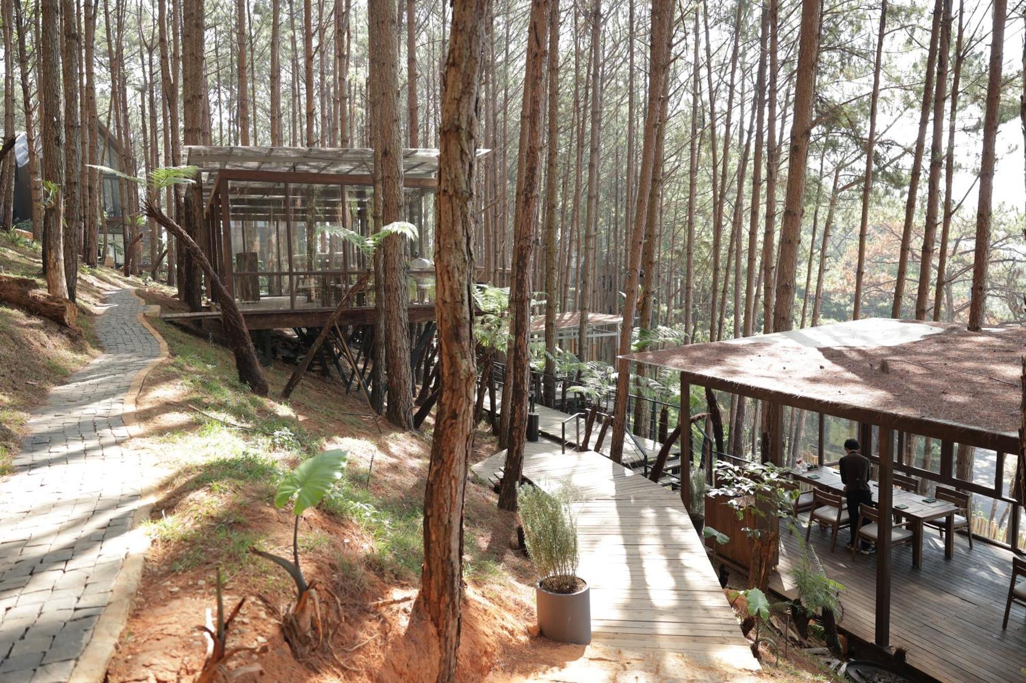 Mo Stay - Forest Resort Dalat Exterior foto