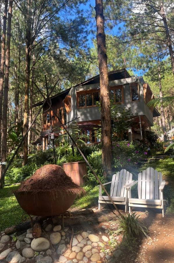 Mo Stay - Forest Resort Dalat Exterior foto