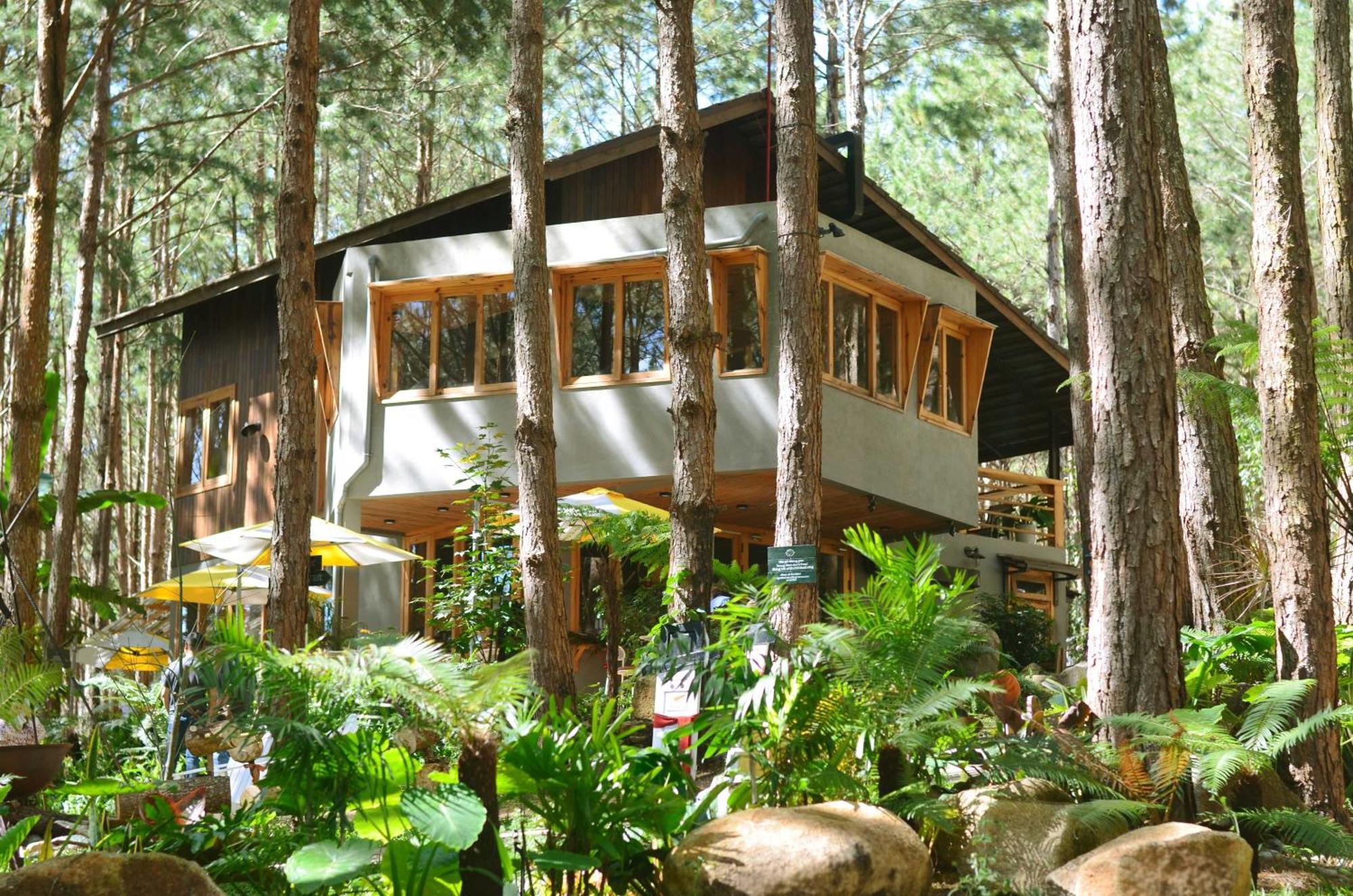 Mo Stay - Forest Resort Dalat Exterior foto