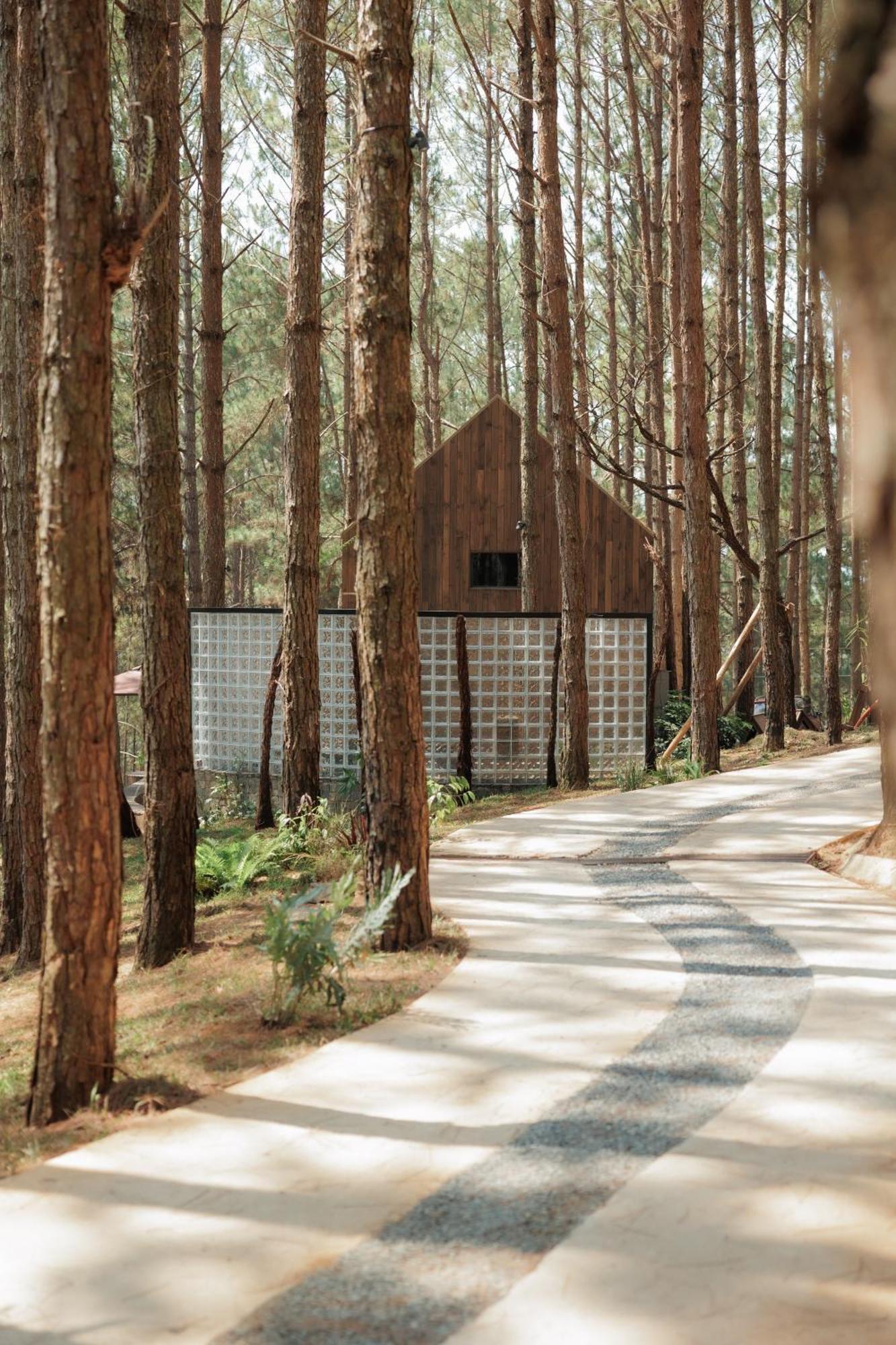 Mo Stay - Forest Resort Dalat Exterior foto