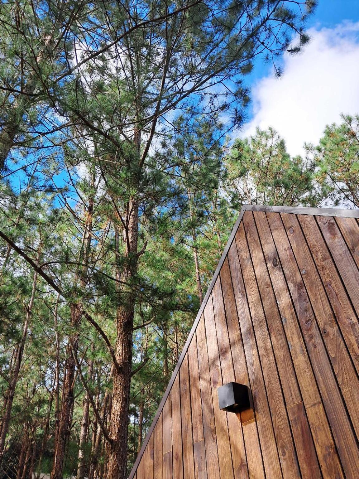 Mo Stay - Forest Resort Dalat Exterior foto